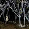 The Noise FM - Dream of the Attack